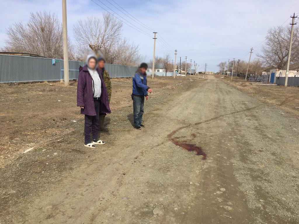 В Домбаровском районе мужчина из найденного ружья застрелил собаку соседа  (18+) | Новости Оренбурга