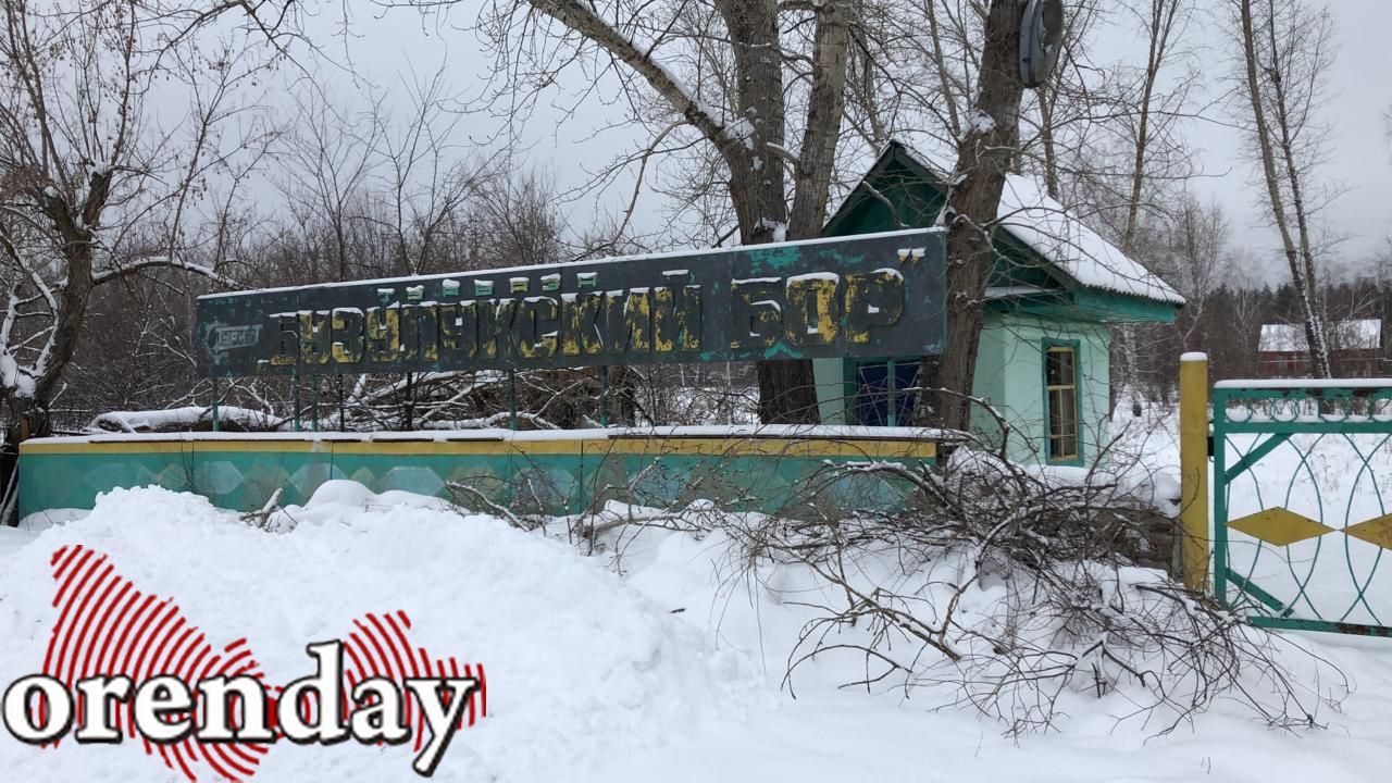 Заброшенную базу отдыха в Бузулукском бору внесли в список инвестиционных  объектов | Новости Оренбурга