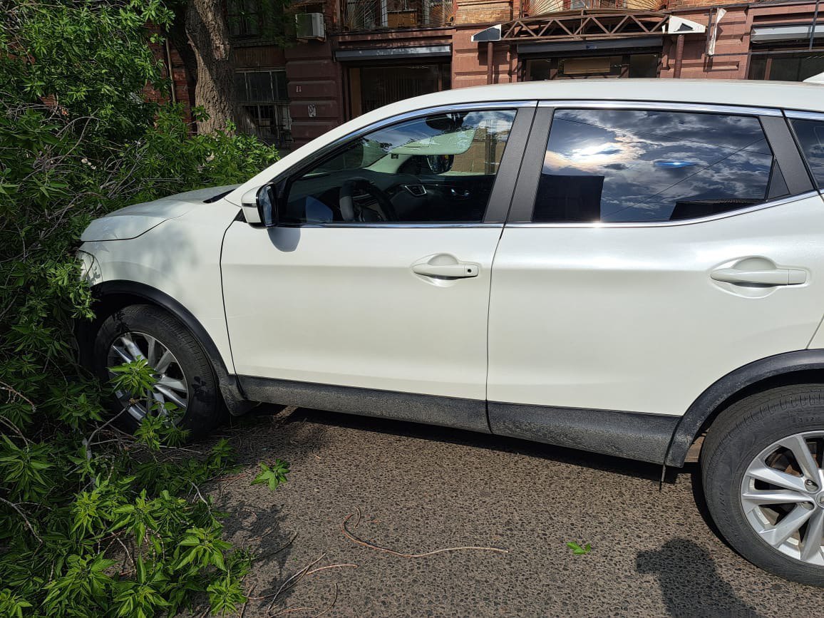 В Оренбурге на проезжую часть упало дерево и повредило два авто | Новости  Оренбурга