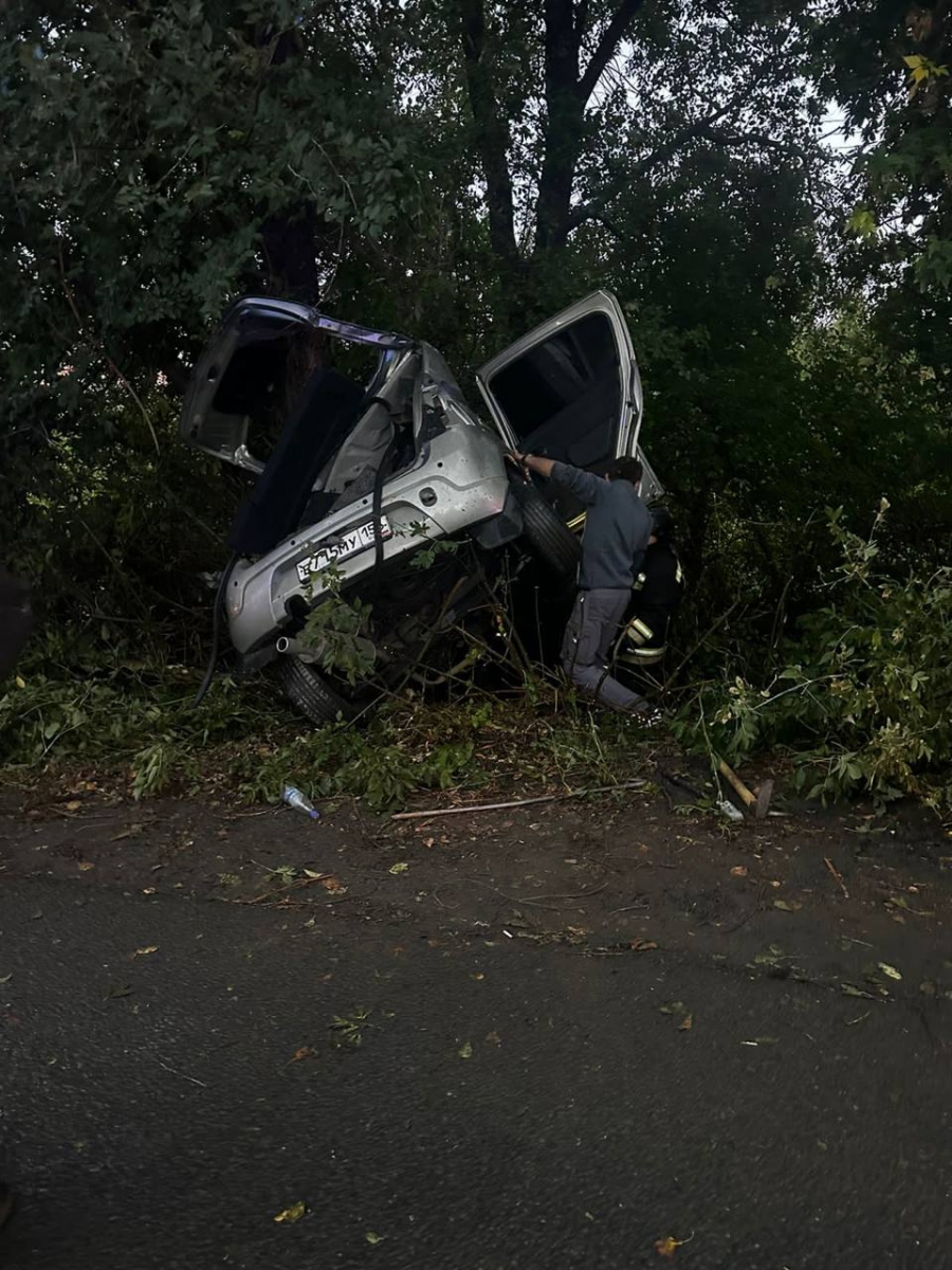 В Орске погибла женщина, въехавшая на авто в дерево (18+) | Новости  Оренбурга