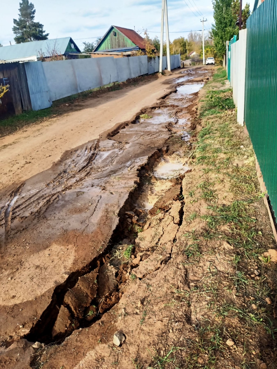 Кошмар на улице Пушкина в Переволоцком, или Поле чудес в стране Дураков |  Новости Оренбурга