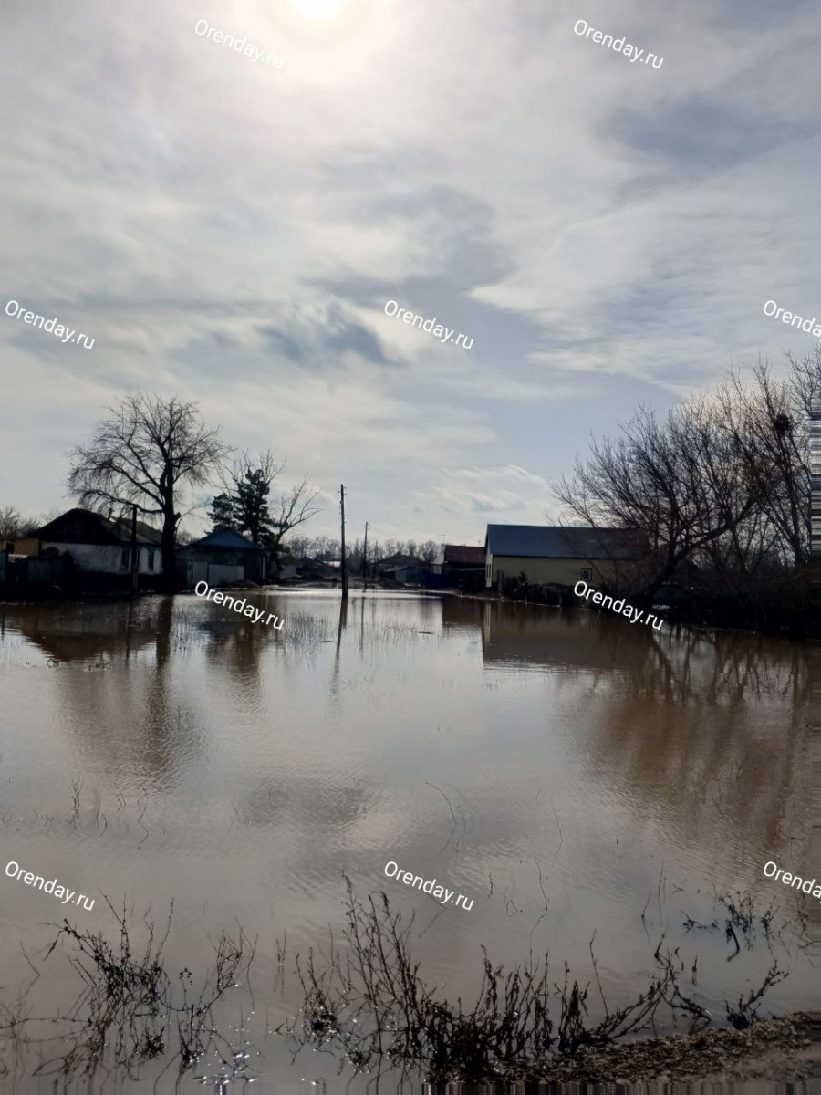 Вода ушла, и что остается: фоторепортаж из Краснохолма после паводка |  Новости Оренбурга