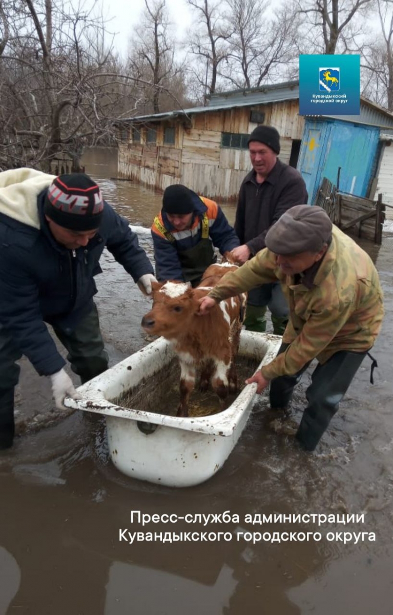 В Кувандыке из-за большого притока воды отключили горячую воду и котельные  | Новости Оренбурга