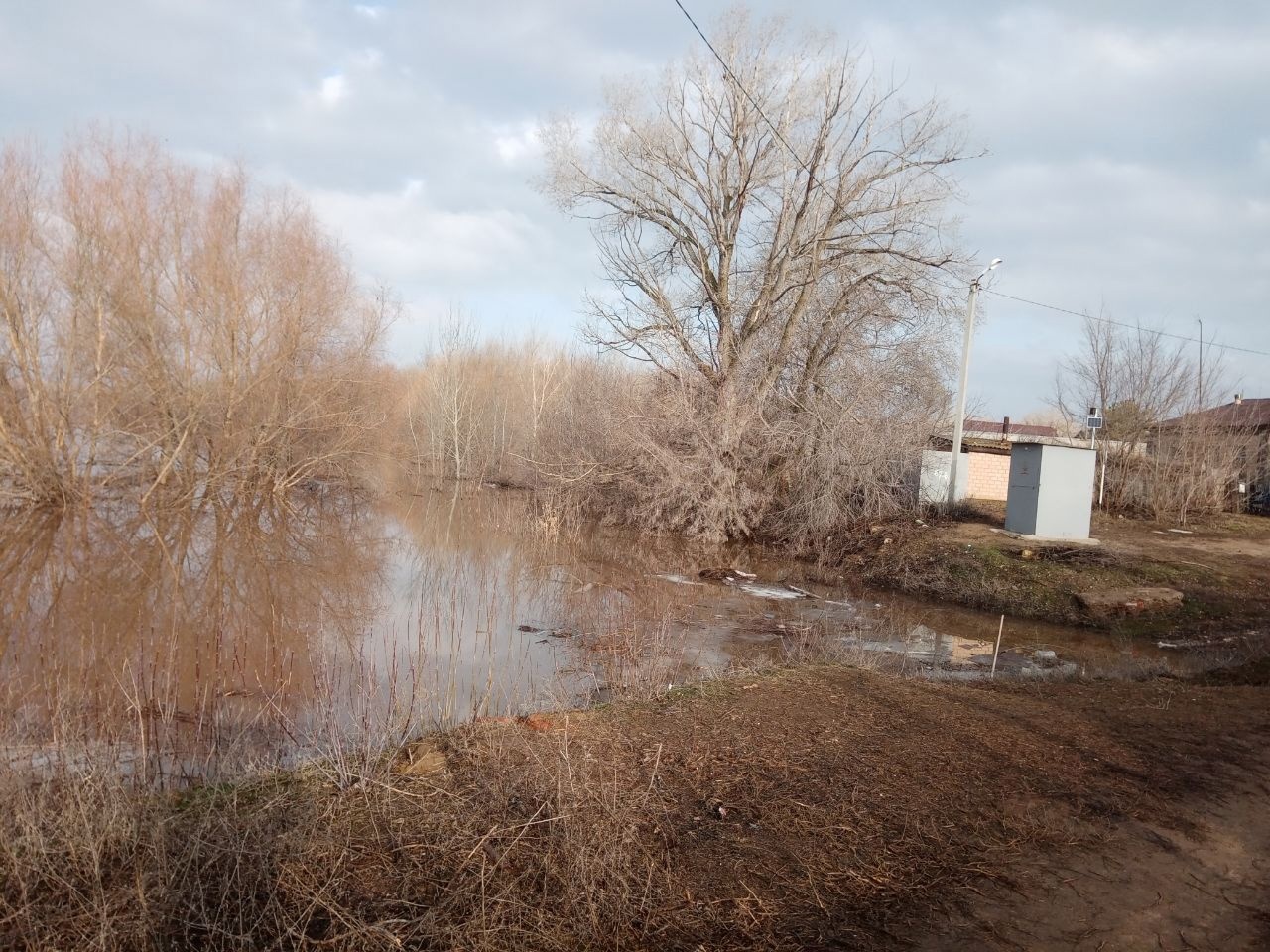 Уровень воды в Урале в Илекском районе достиг опасной отметки | Новости  Оренбурга