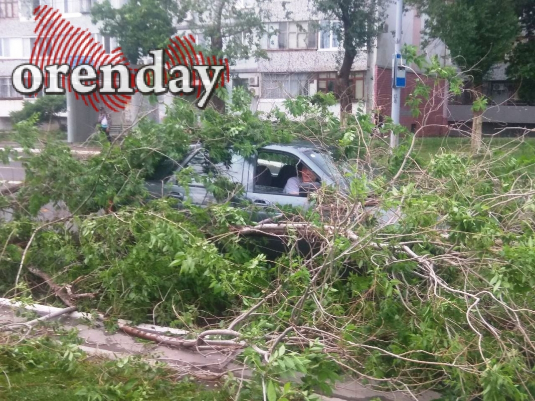 Ураган в Оренбурге поломал деревья и оставил горожан без света | Новости  Оренбурга