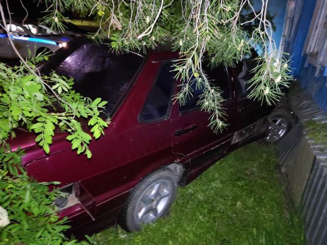 В Шарлыке пьяного водителя остановило дерево на пути в сторону частного дома 