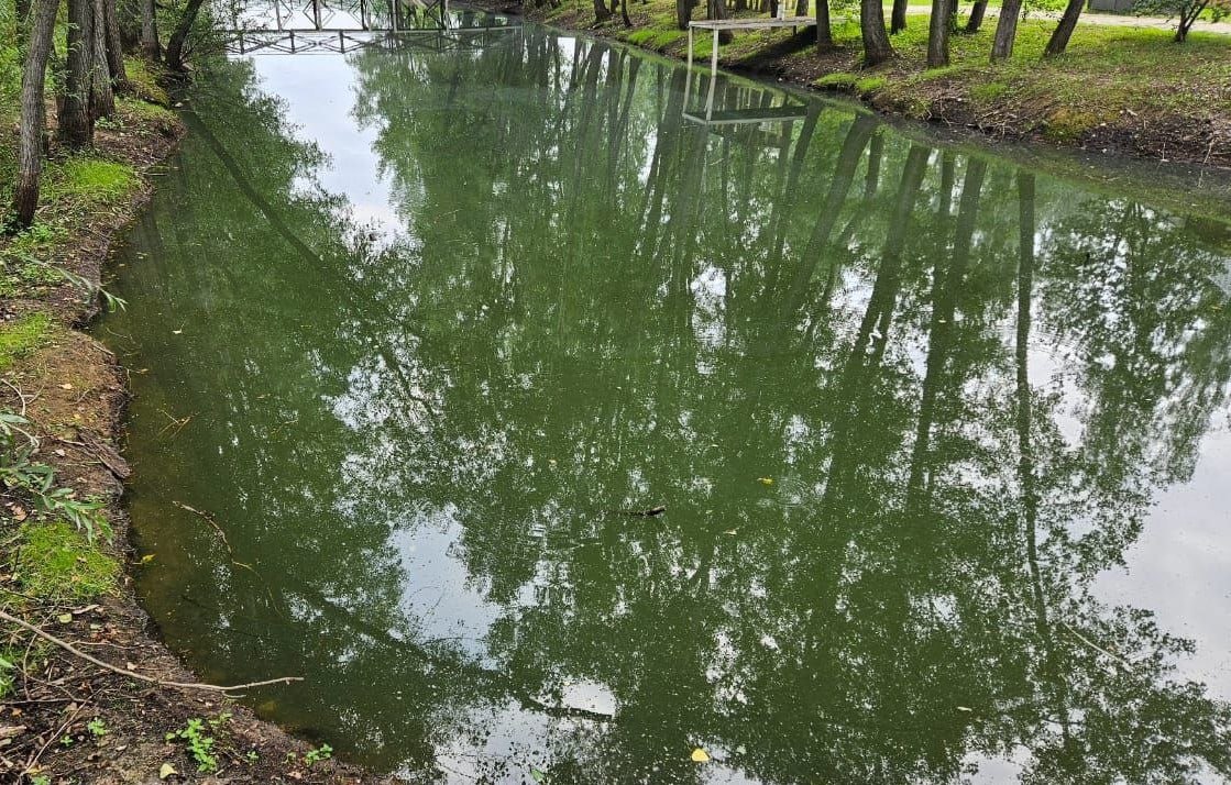 Специалисты Росельхознадзора не нашли на Димитровском водохранилище мертвой рыбы