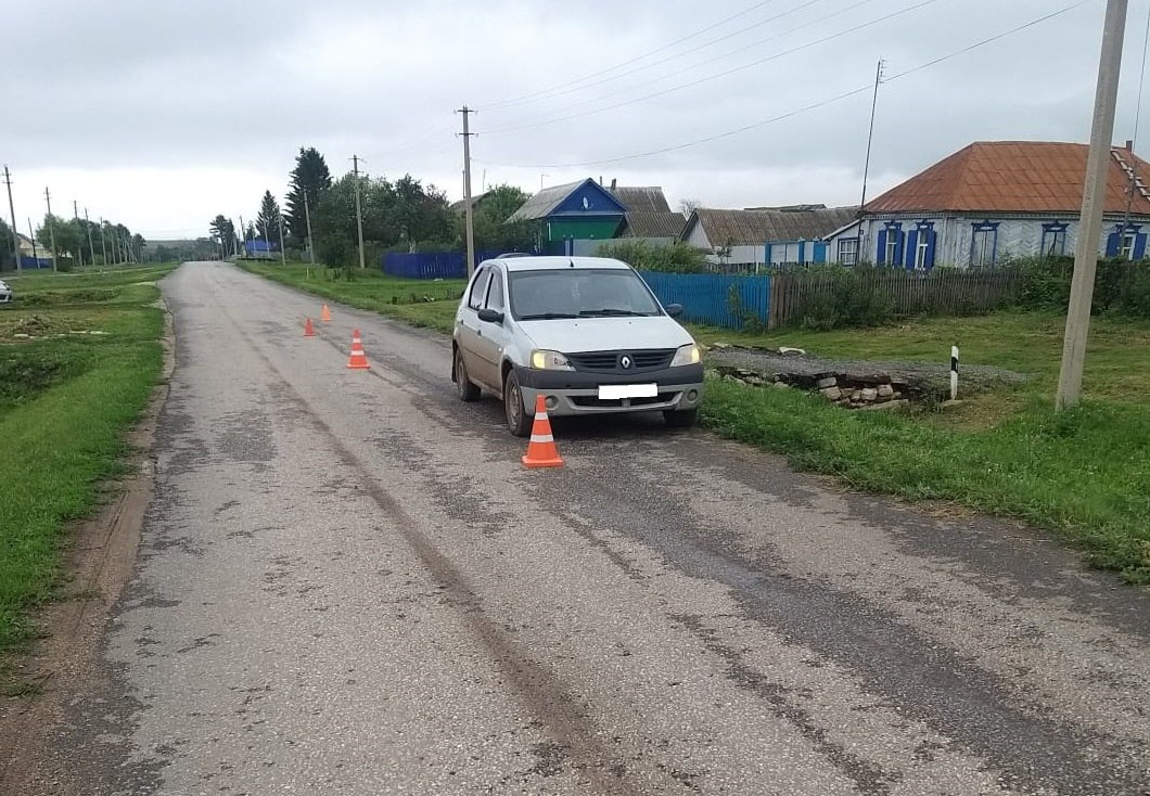 9-летнюю школьницу сбил автомобиль на сельской дороге в Северном районе 