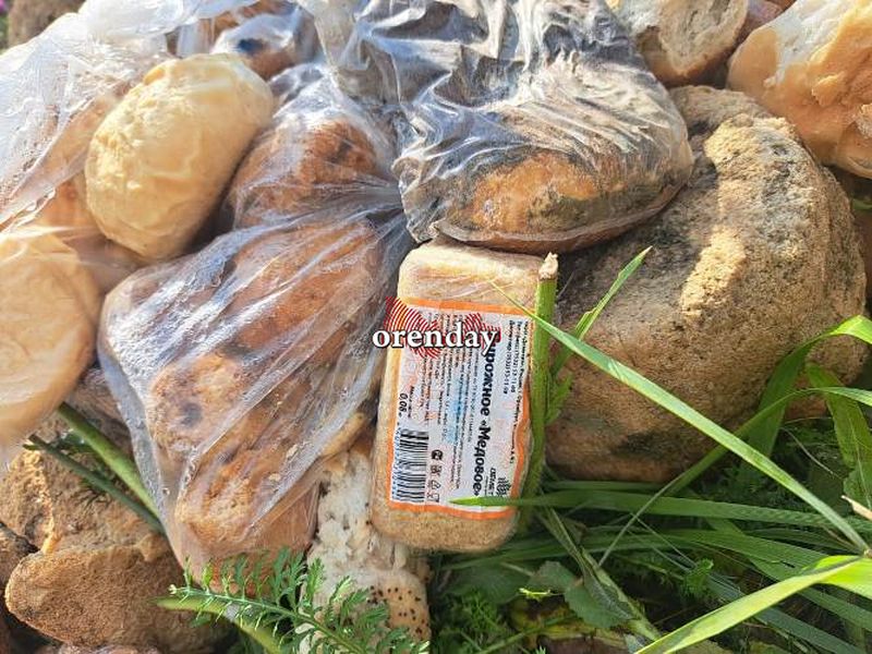 Клёвое место: в селе Цветная Пустошь около озера обнаружили останки  плесневелого хлеба
