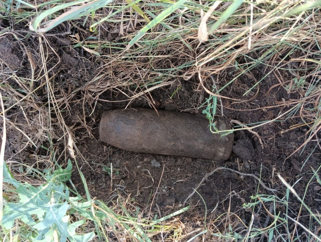 В лесу Курманаевского района местные жители нашли опасные снаряды