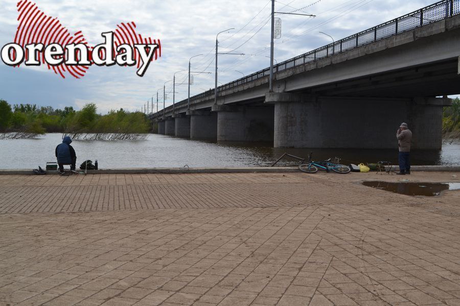 Пока не тонем. Приток в Ириклинское водохранилище уменьшился