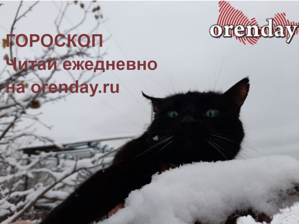 Девы, не переживайте из-за пустяков, Рыбам следует настроить себя на позитив, а Козерогам придется решать ряд проблем 