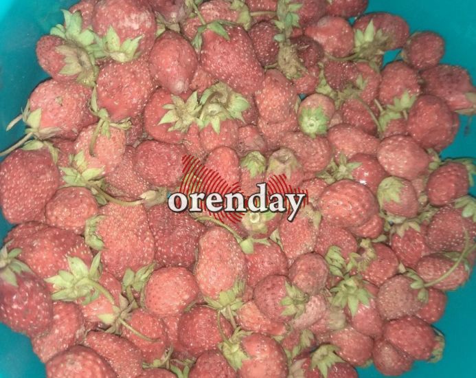 ТОП-5 ягод для красоты и молодости оренбуржцев, которые следует есть прямо сейчас