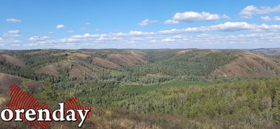 В Оренбуржье сегодня два раза вводили план «Ковер», но сейчас аэропорт работает в прежнем режиме