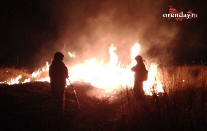 В Оренбуржье на пожаре погиб доброволец и получил ожоги луковица Среднеуранского сельсовета(18+)
