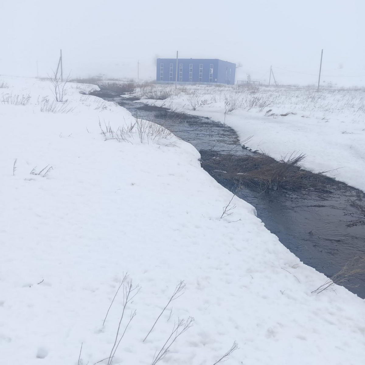 В поселок Приютово бегут зловонные ручьи | Новости Оренбурга